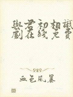 与君初相识电视剧在线免费观看全集