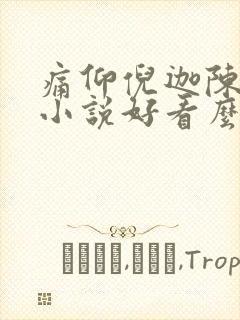 痛仰倪迦陈劲生小说好看么
