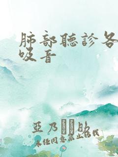 肺部听诊各种呼吸音