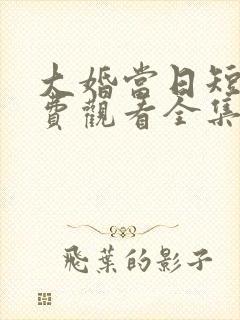 大婚当日短剧免费观看全集