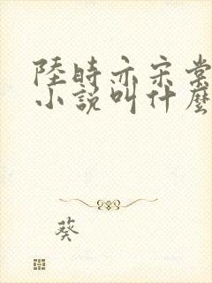陆时亦宋棠原著小说叫什么