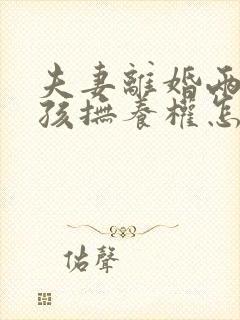 夫妻离婚两个小孩抚养权怎么判定