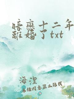 暗恋十二年的他离婚了txt