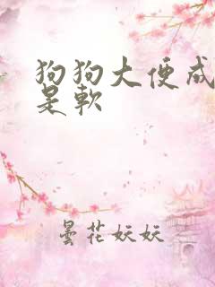 狗狗大便成型但是软