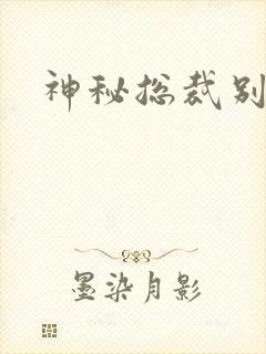 神秘总裁别玩我