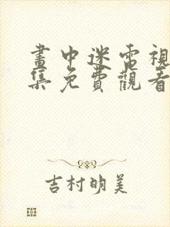 画中迷电视剧全集免费观看