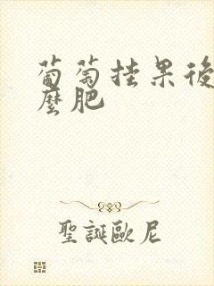 葡萄挂果后施什么肥