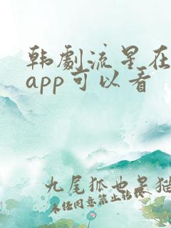 韩剧流星在哪个app可以看