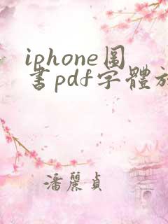 iphone图书pdf字体放大