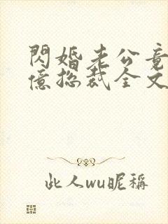 闪婚老公竟是千亿总裁全文阅读