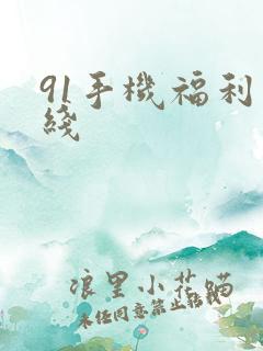 91手机福利在线
