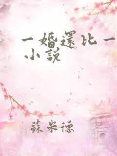 一婚还比一婚高 小说