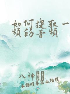 如何提取一段视频的音频