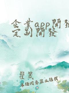 企业app开发定制开发