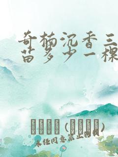 奇楠沉香三年树苗多少一棵