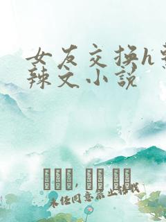 女友交换h系列辣文小说