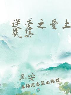 逆袭之爱上情敌几集