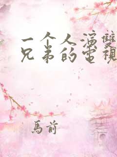 一个人演双胞胎兄弟的电视剧