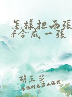 怎样把两张pdf合成一张