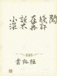 小说在线阅读情深不再许