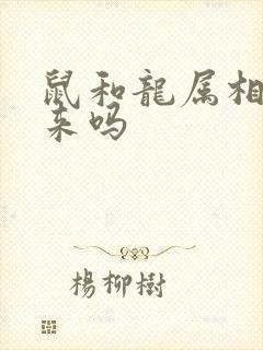 鼠和龙属相合得来吗