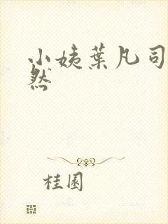 小姨叶凡司空嫣然