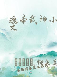 魂帝武神小说全文