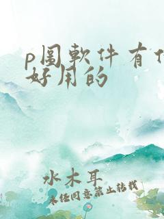 p图软件有什么好用的
