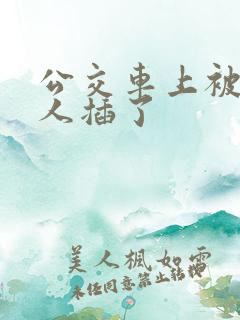 公交车上被陌生人插了
