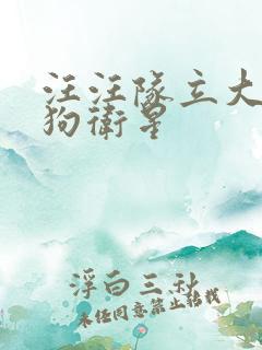 汪汪队立大功狗狗卫星