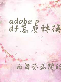 adobe pdf怎么转换成word