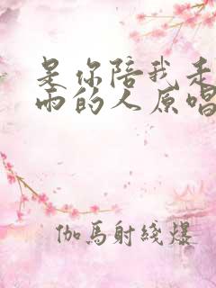 是你陪我走过风雨的人原唱