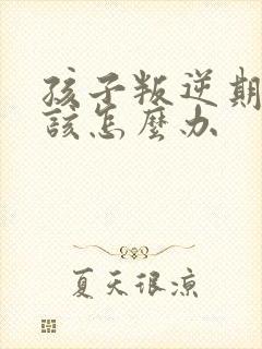 孩子叛逆期家长该怎么办