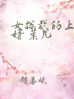 女总裁的上门女婿 叶凡