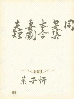 夫妻本是同林鸟短剧合集