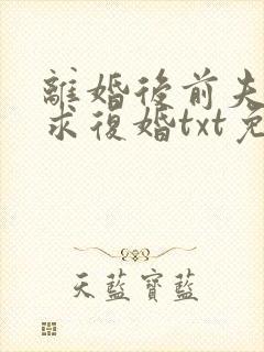 离婚后前夫哭着求复婚txt免费下载