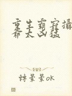 重生霸宠摄政王爷太凶猛