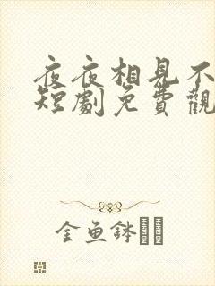 夜夜相见不识君短剧免费观看全集