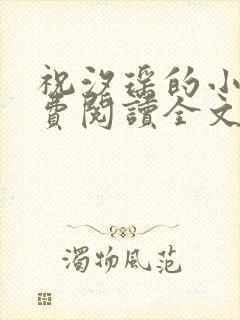 祝汐瑶的小说免费阅读全文