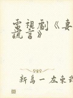 电视剧《妻子的谎言》