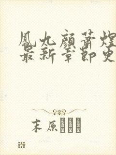 凤九颜萧煜小说最新章节更新免费阅读