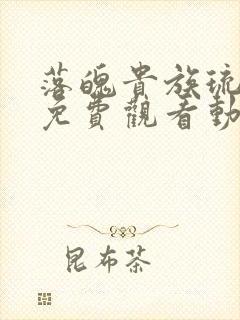 落魄贵族琉璃川免费观看动漫