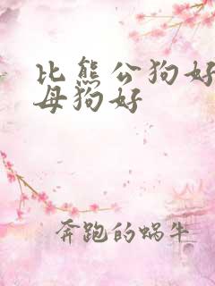 比熊公狗好还是母狗好