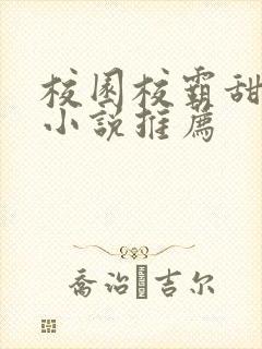 校园校霸甜宠文小说推荐