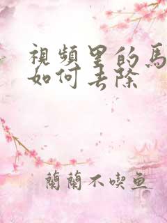 视频里的马赛克如何去除