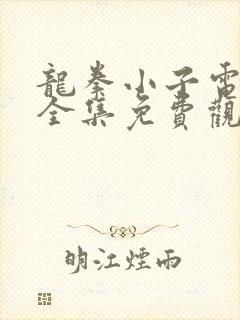 龙拳小子电视剧全集免费观看