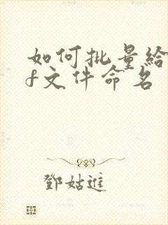 如何批量给pdf文件命名