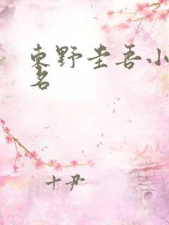 东野圭吾小说排名