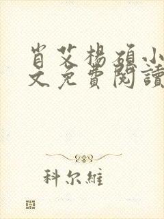 肖艾杨硕小说全文免费阅读