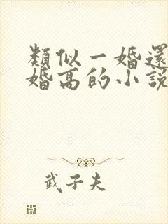 类似一婚还比一婚高的小说高干文